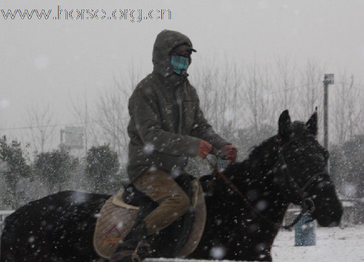 {马场雪骑}嘉兴马友们在冰雪中战斗着！！！