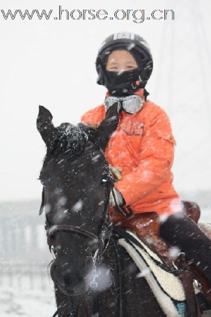 {马场雪骑}嘉兴马友们在冰雪中战斗着！！！