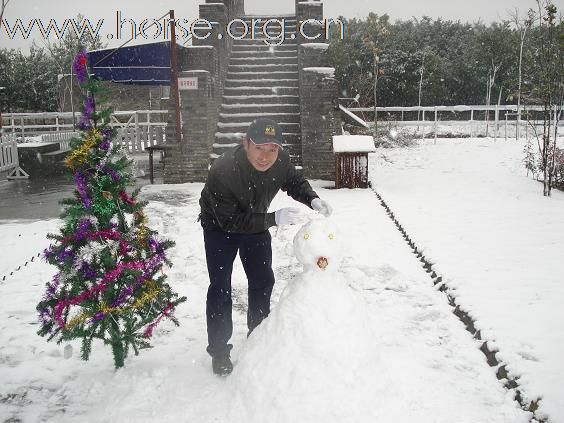 {马场雪骑}嘉兴马友们在冰雪中战斗着！！！