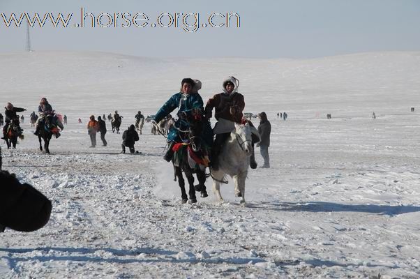 2009西乌旗草原冰雪嘉年华赛马现场亲历