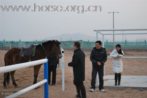 瓢城骑兵营正在进行中