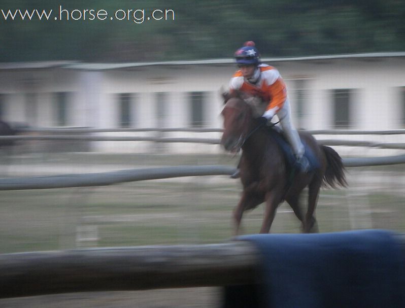 香港賽馬會支持亞運馬術