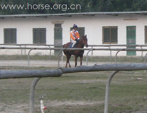 香港賽馬會支持亞運馬術