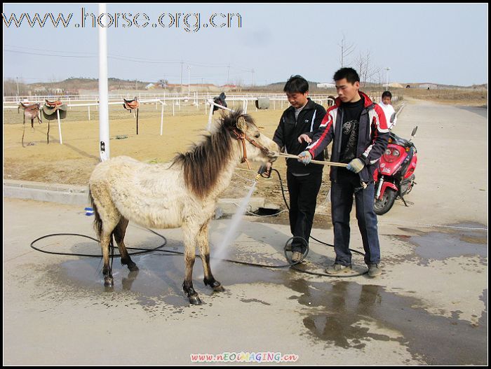 [分享]登程小马准备好啦  欢迎带小朋友前来体验啊O(∩_∩)O~