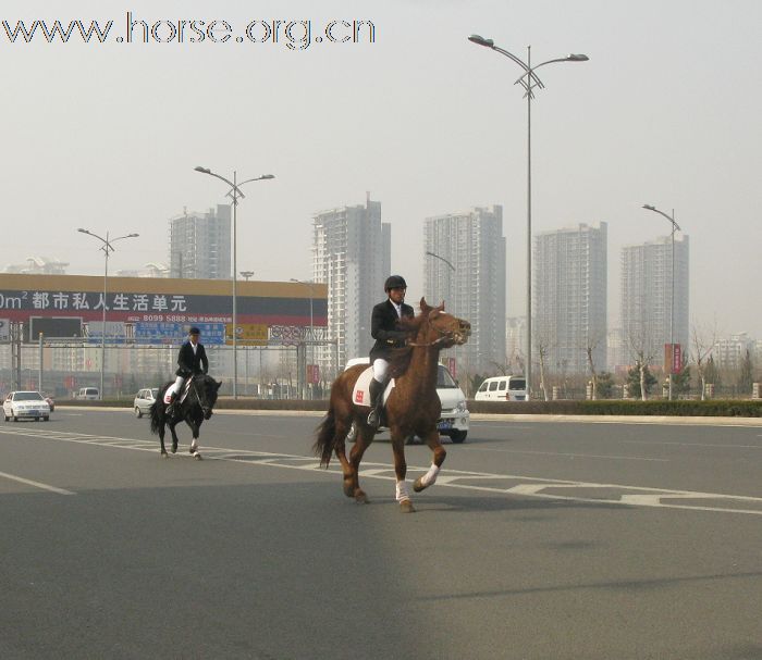 2009年青岛凤凰马术俱乐部第一次野外骑乘