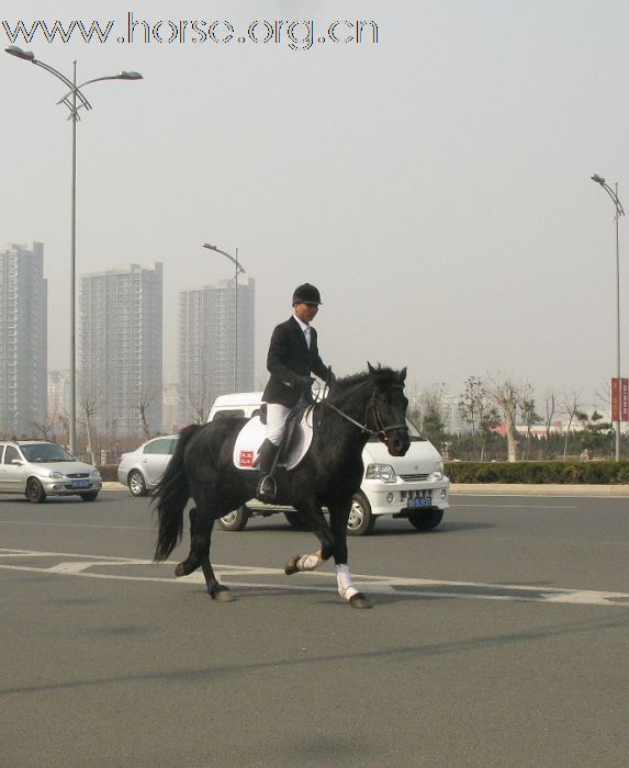 2009年青岛凤凰马术俱乐部第一次野外骑乘