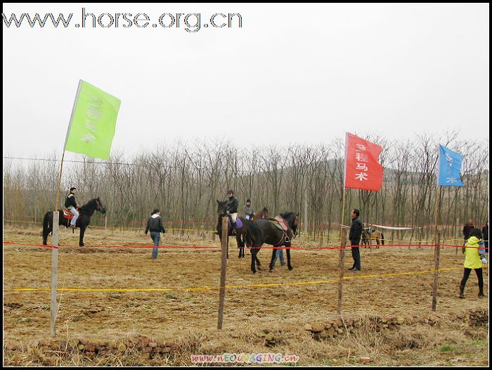 [贴图]登程马术俱乐部 祝 田横祭海节圆满成功！！！