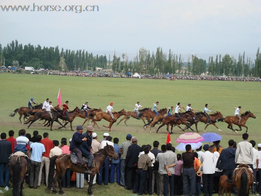 [转帖]伊犁将举办2009年天马旅游节