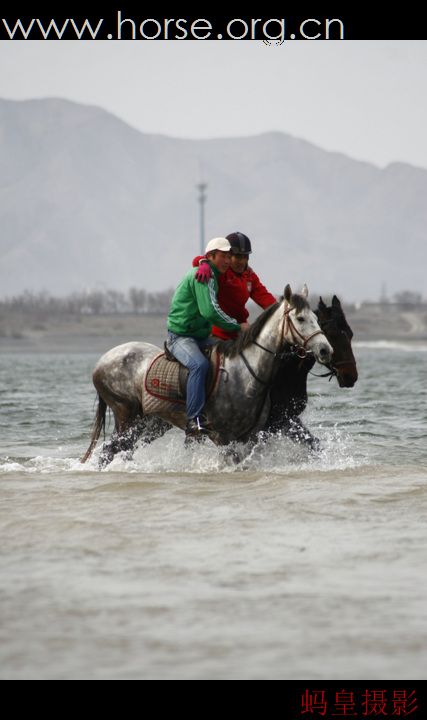 我和马儿一起水中游