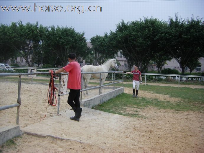 5月3日東莞大朗大有園騎馬日記