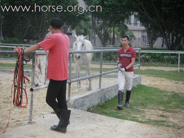 5月3日東莞大朗大有園騎馬日記