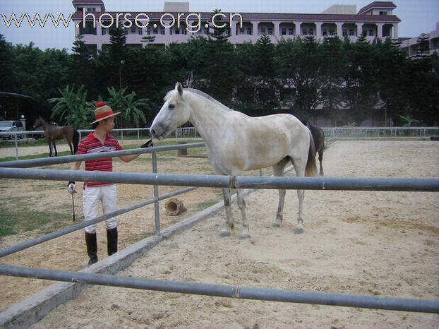 5月3日東莞大朗大有園騎馬日記