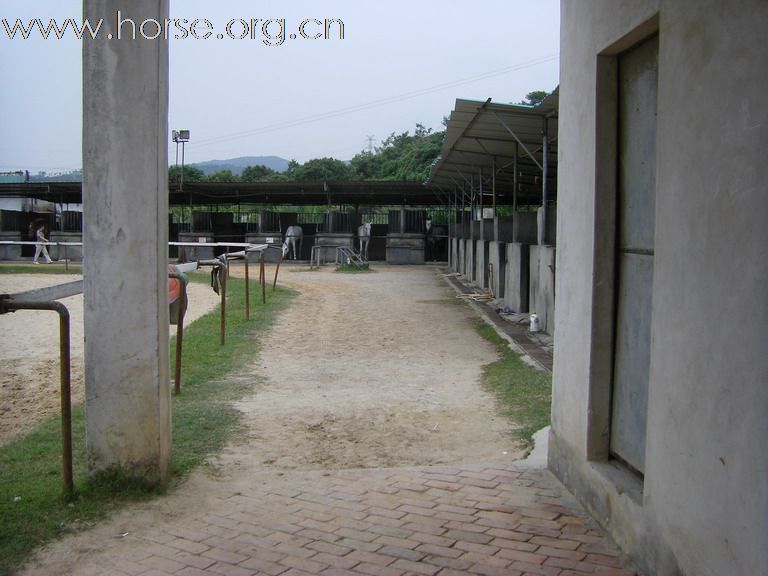 5月3日東莞大朗大有園騎馬日記