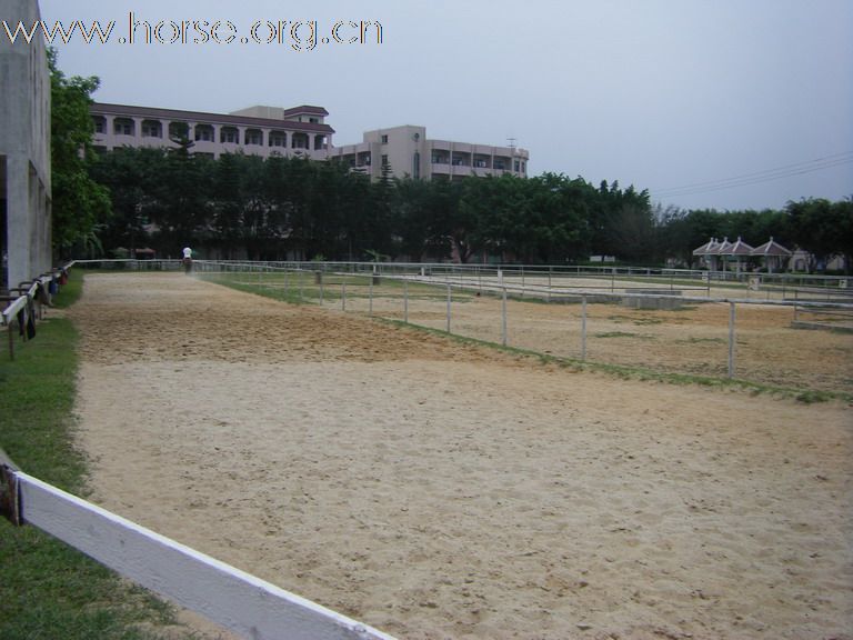 5月3日東莞大朗大有園騎馬日記