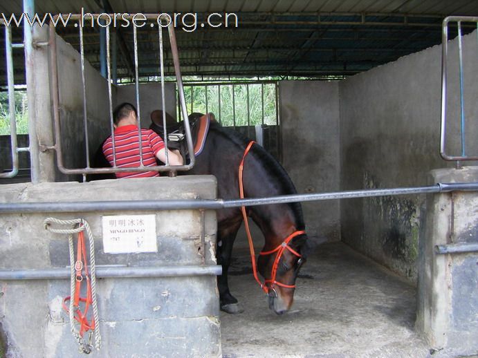 5月3日東莞大朗大有園騎馬日記