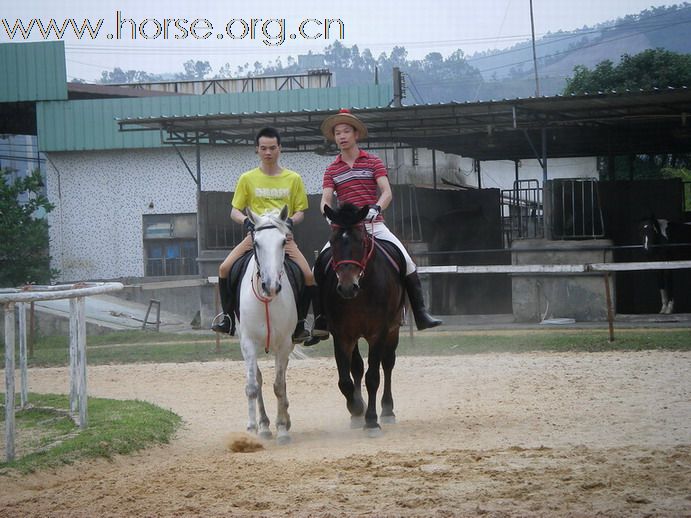 5月3日東莞大朗大有園騎馬日記