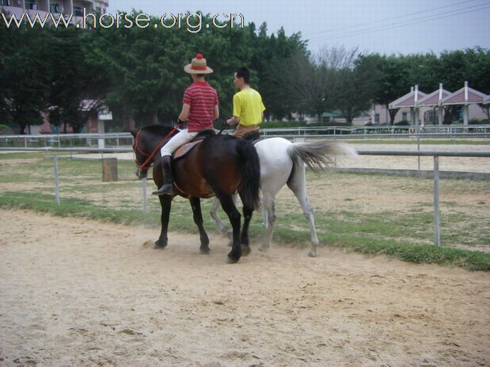 5月3日東莞大朗大有園騎馬日記