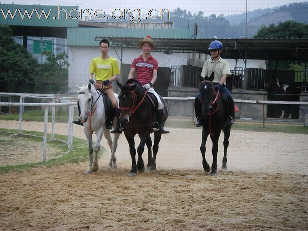 5月3日東莞大朗大有園騎馬日記