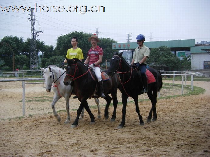 5月3日東莞大朗大有園騎馬日記