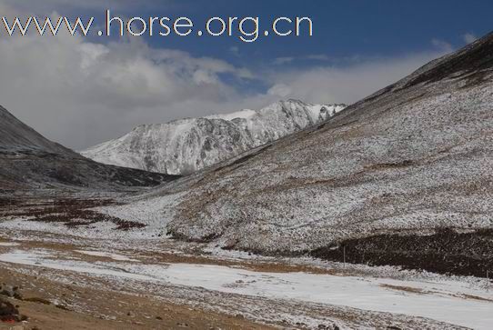 上海驴马友，雪域高原行