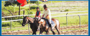 [分享]纵马行青草－《香港商报》今日介绍精英骑士会