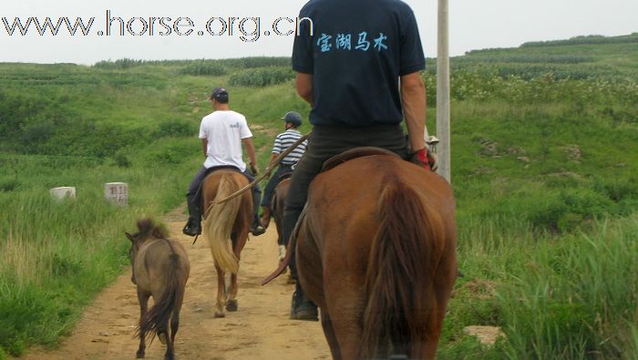 周六带上泳装宝湖山庄骑马游泳去!