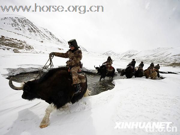 ★ 吼吼，看看中国骑兵的新坐骑：神兽！