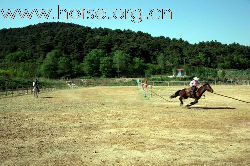 宇钿骑士会所5月23日活动掠影