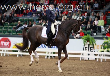 瑞典Goteborg Horse Show 歌登堡馬術比賽CSI5*