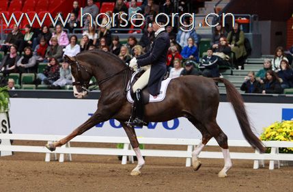 瑞典Goteborg Horse Show 歌登堡馬術比賽CSI5*