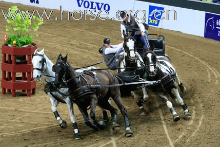 瑞典Goteborg Horse Show 歌登堡馬術比賽CSI5*