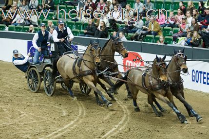 瑞典Goteborg Horse Show 歌登堡馬術比賽CSI5*