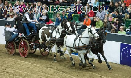 瑞典Goteborg Horse Show 歌登堡馬術比賽CSI5*