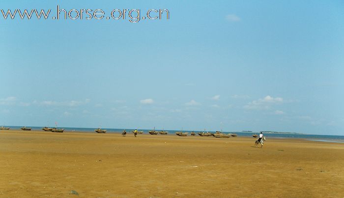 9月5日宝湖山庄马术邀请赛！