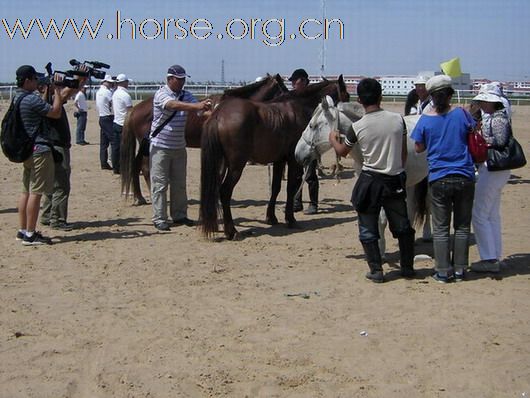 2009錫林格勒首屆馬術耐力賽 – 獸醫