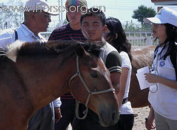 2009錫林格勒首屆馬術耐力賽 – 獸醫