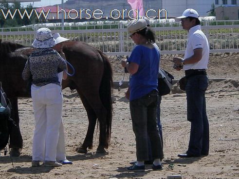 2009錫林格勒首屆馬術耐力賽 – 獸醫