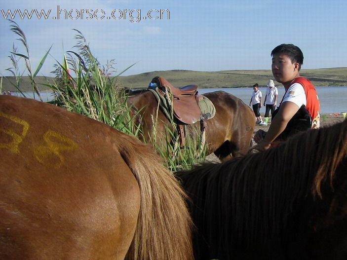 2009錫林格勒馬術耐力賽 – 第四號檢查點剪影