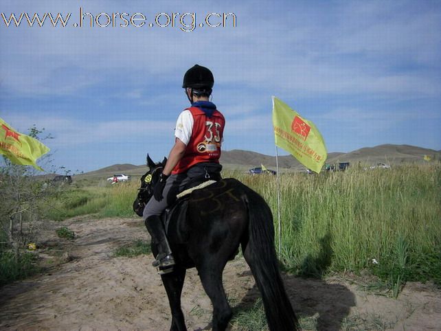 2009錫林格勒馬術耐力賽 – 第四號檢查點剪影