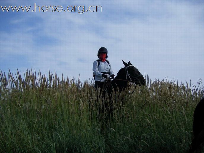 2009錫林格勒馬術耐力賽 – 第四號檢查點剪影