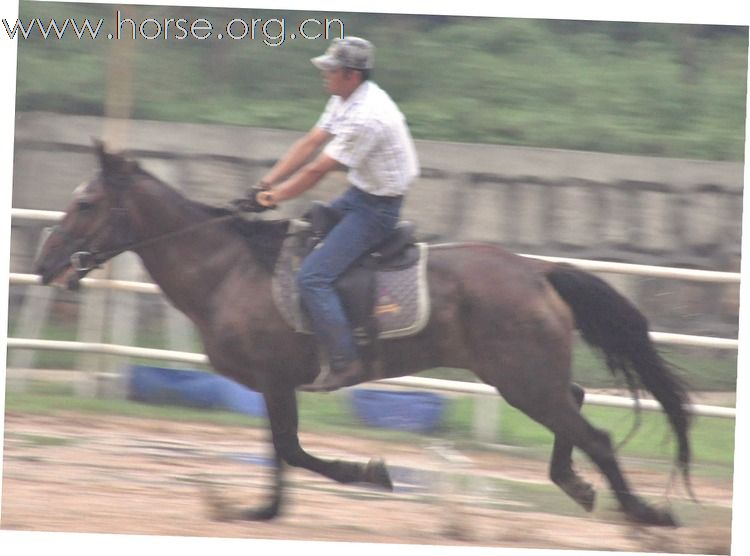 江蘇馬友簡介及 騎馬照片~~持續增加中