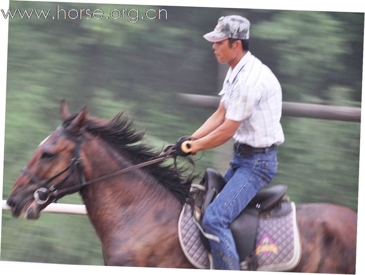 江蘇馬友簡介及 騎馬照片~~持續增加中