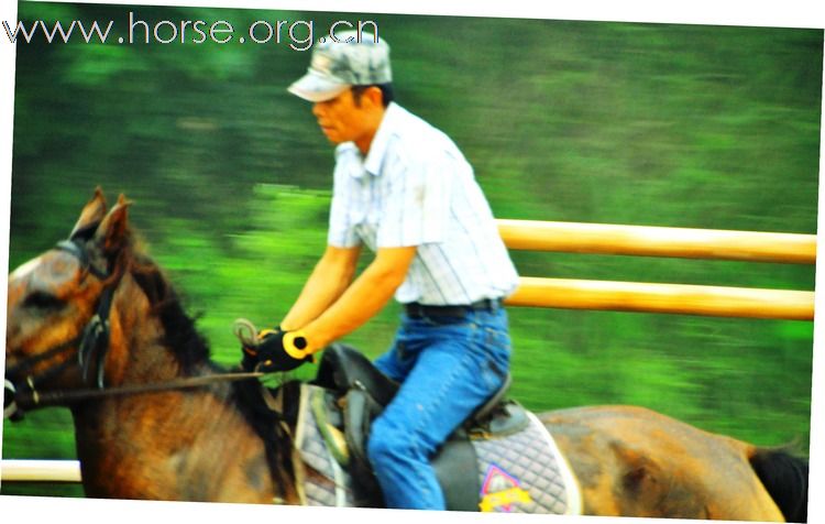 江蘇馬友簡介及 騎馬照片~~持續增加中