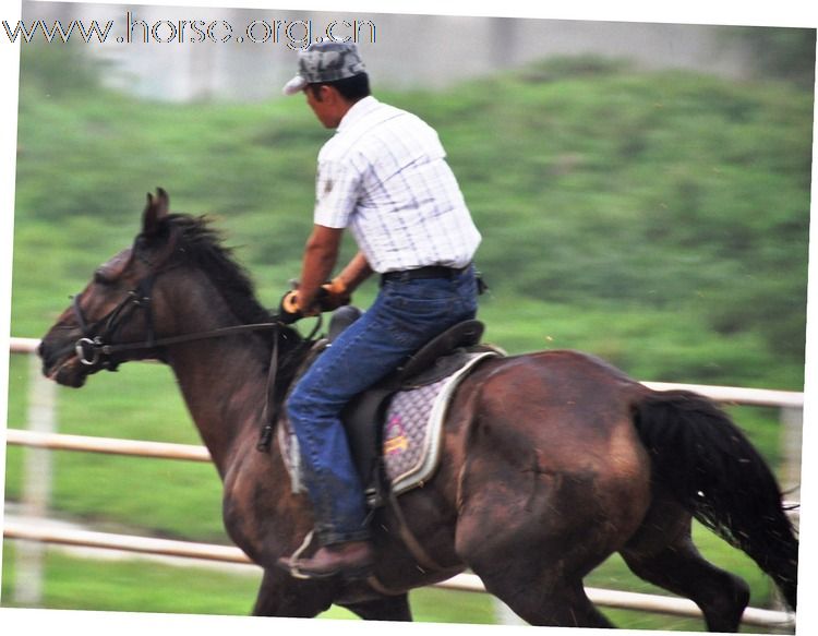 江蘇馬友簡介及 騎馬照片~~持續增加中