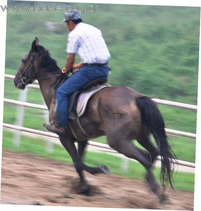 江蘇馬友簡介及 騎馬照片~~持續增加中