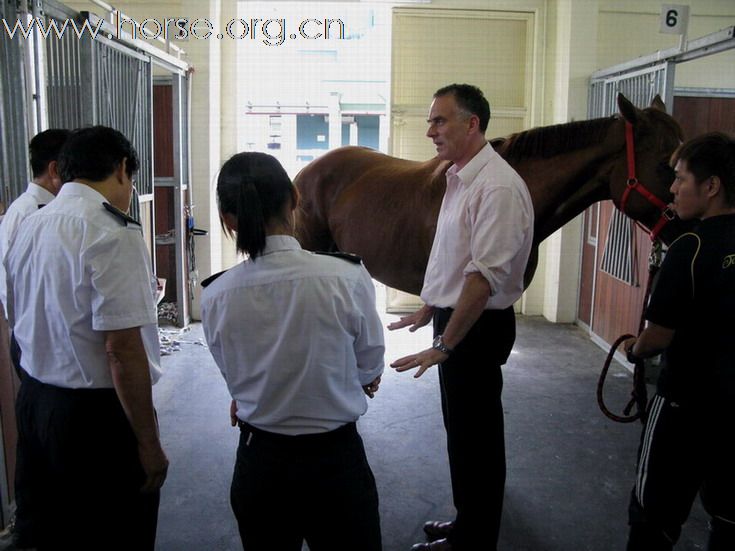 馬會協助愛護動物協會人員增進馬匹知識