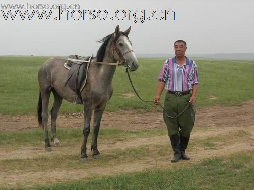 马坛三老锡勒行（照片请点击查看完整 ）