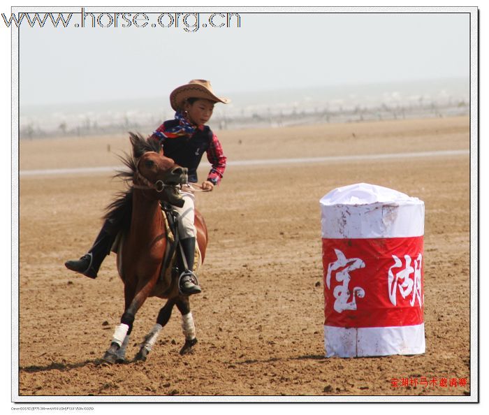 2009青岛”宝湖山庄杯“沙滩速度赛报名中！沙滩骏马比基尼