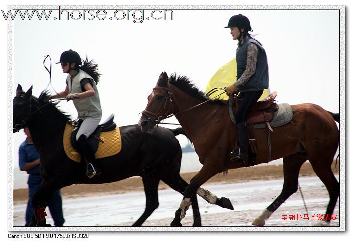 2009青岛”宝湖山庄杯“沙滩速度赛报名中！沙滩骏马比基尼