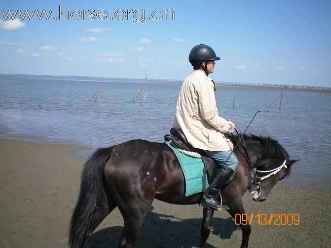 九月黄海边骑马